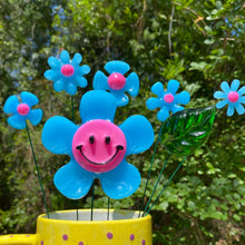 Load image into Gallery viewer, Pink & Blue Smiley Flower Set