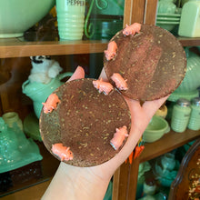 Load image into Gallery viewer, Pig Pen Coasters (4)
