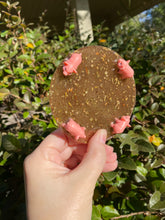 Load image into Gallery viewer, Pig Pen Coasters (4)