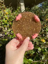 Load image into Gallery viewer, Pig Pen Coasters (4)