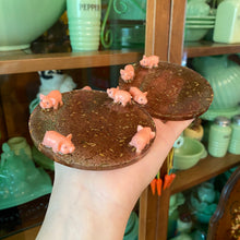 Load image into Gallery viewer, Pig Pen Coasters (4)