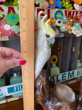 Load image into Gallery viewer, Double Cockatoo Planter
