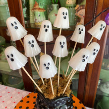 Load image into Gallery viewer, PAIR Spook Sticks
