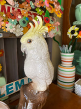 Load image into Gallery viewer, Double Cockatoo Planter

