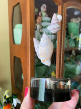 Load image into Gallery viewer, Vintage Seashell Kinetic
