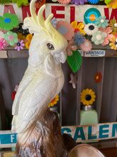 Load image into Gallery viewer, Double Cockatoo Planter
