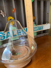 Load image into Gallery viewer, Glass Dome Wood Bottom
