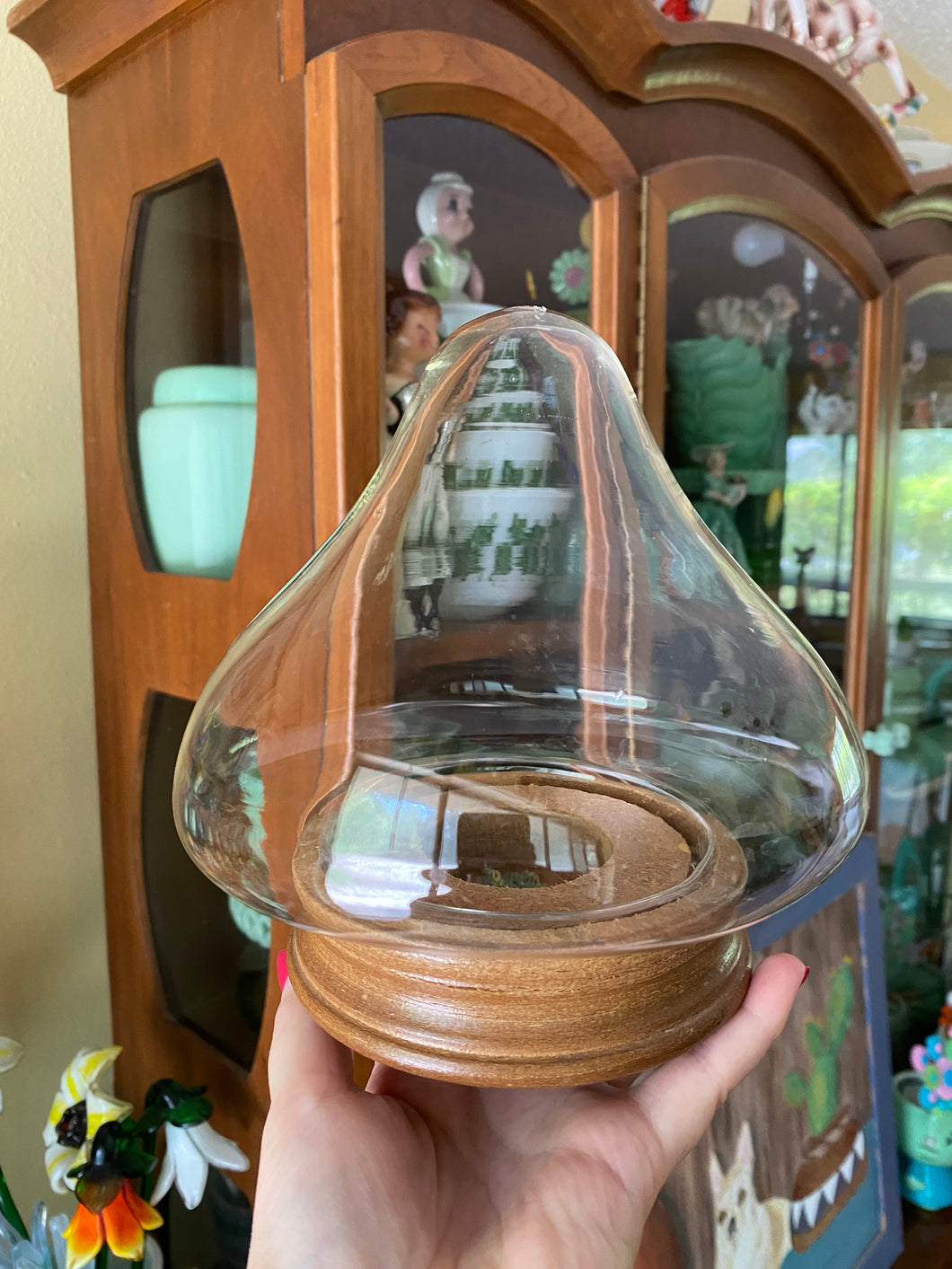 Glass Dome Wood Bottom