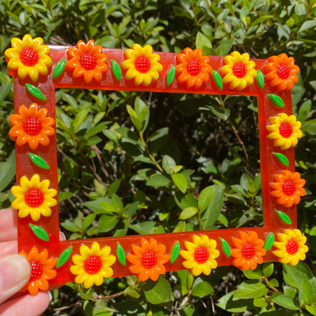 RED Picture Frame & Magnets