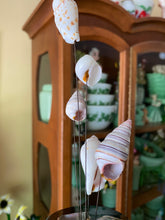 Load image into Gallery viewer, Vintage Seashell Kinetic
