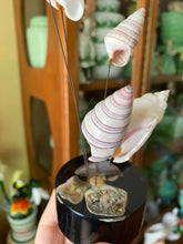 Load image into Gallery viewer, Vintage Seashell Kinetic
