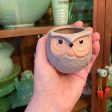 Load image into Gallery viewer, Owl TRIO Planters
