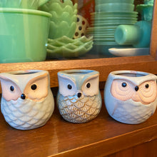 Load image into Gallery viewer, Owl TRIO Planters

