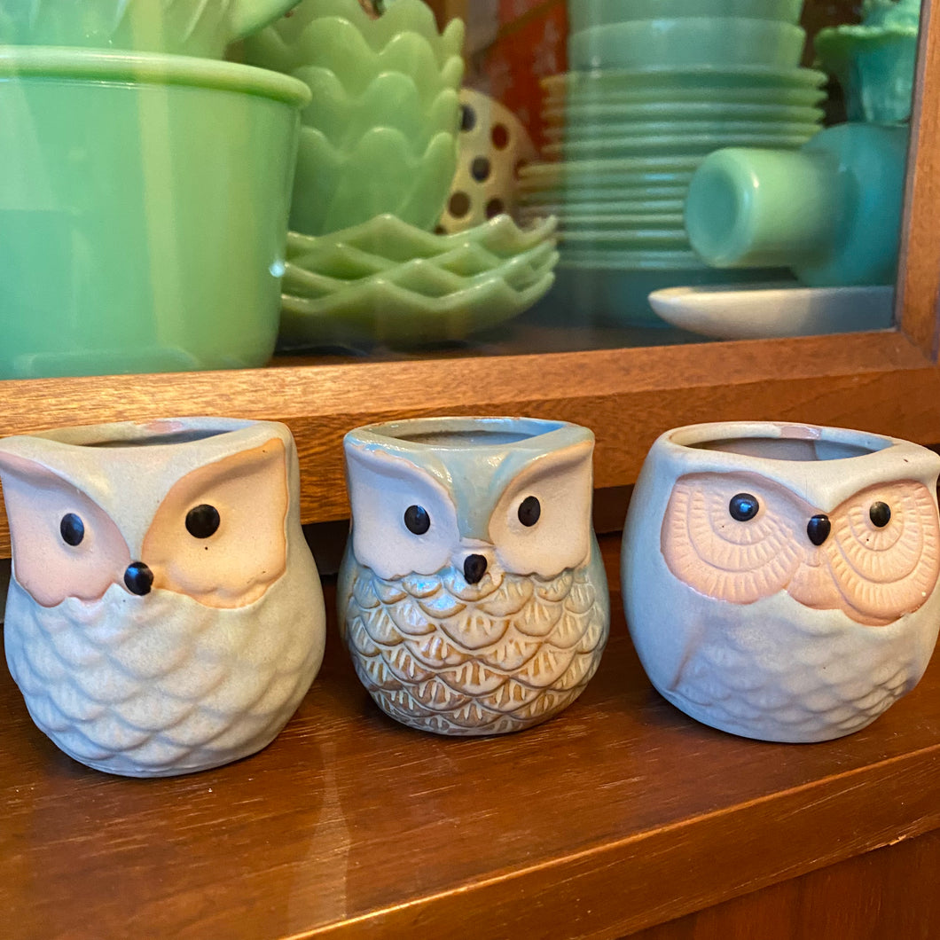 Owl TRIO Planters