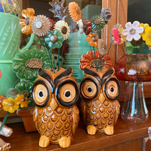 Load image into Gallery viewer, BIG Owls with Flowers
