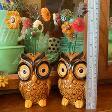 Load image into Gallery viewer, BIG Owls with Flowers
