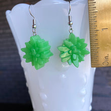 Load image into Gallery viewer, Green SUCCULENT Earrings
