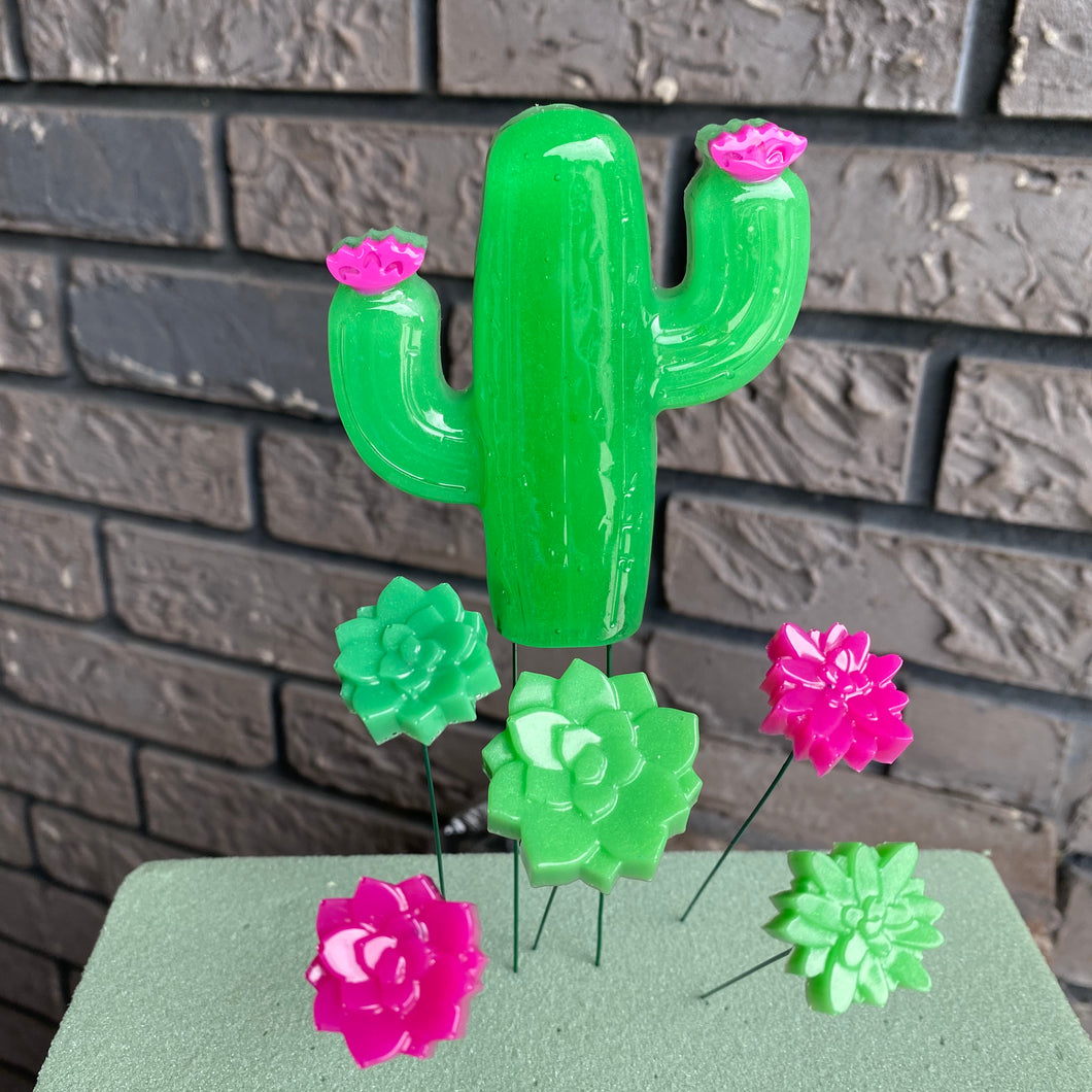 Cactus & Succulent Set